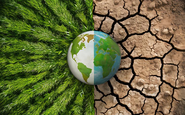 A conceptual image of Earth with one half showing lush greenery and the other half showing dry, cracked soil, representing environmental contrast.